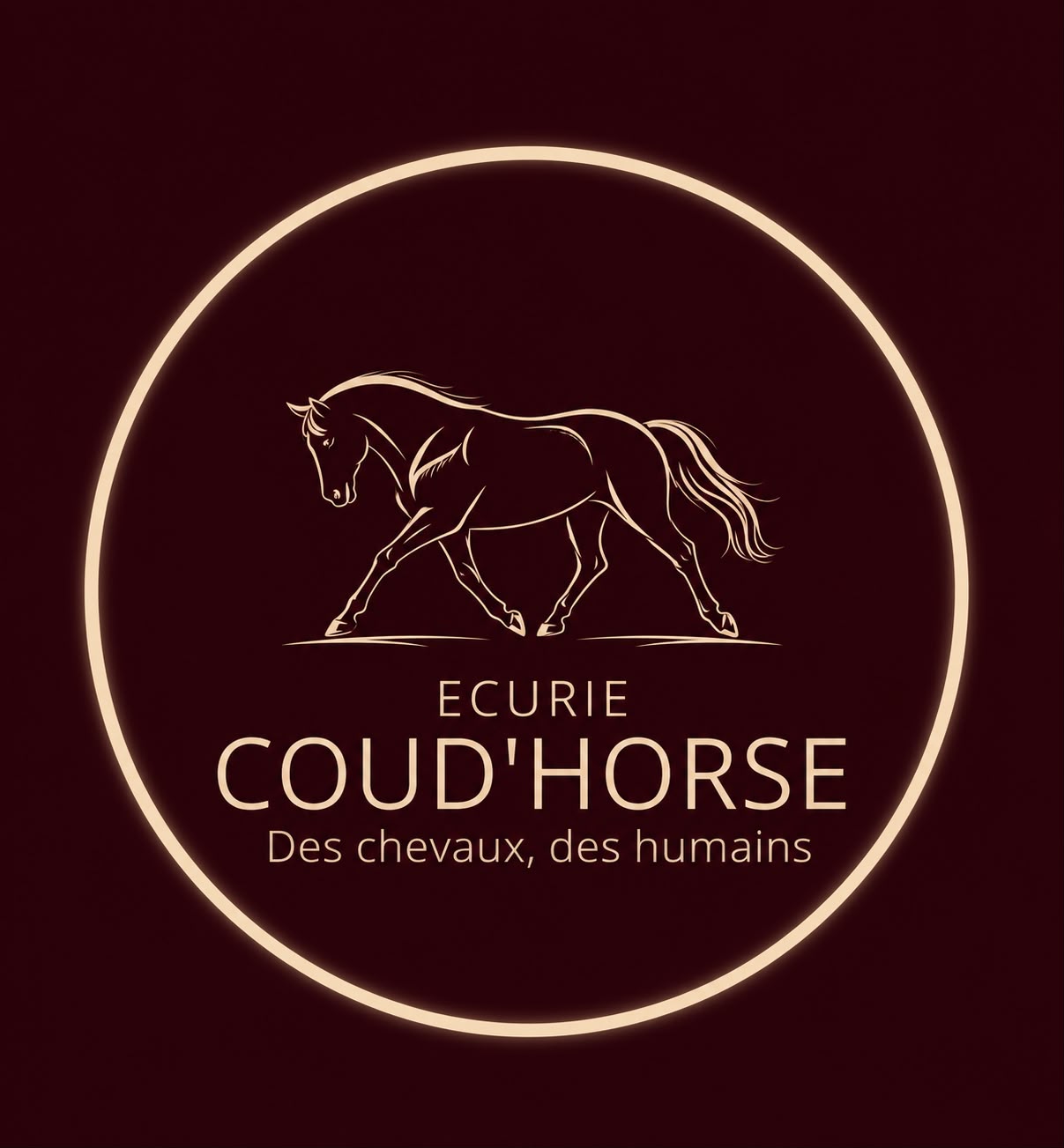 Écurie Coud'Horse — Des chevaux, des humains