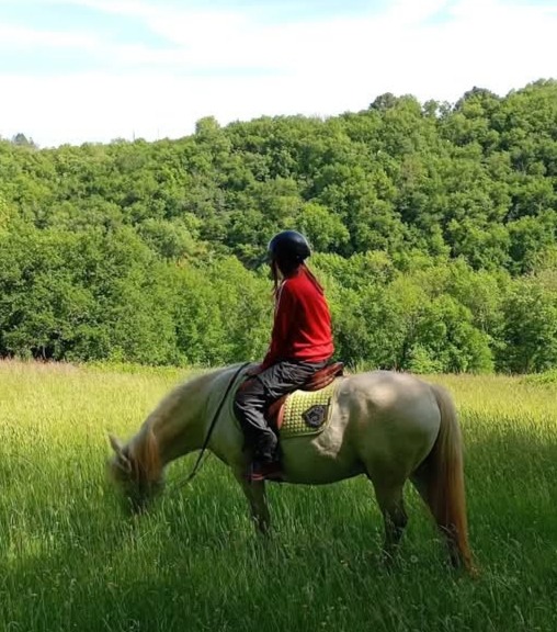 Une cavalière au calme sur son cheval dans les prés