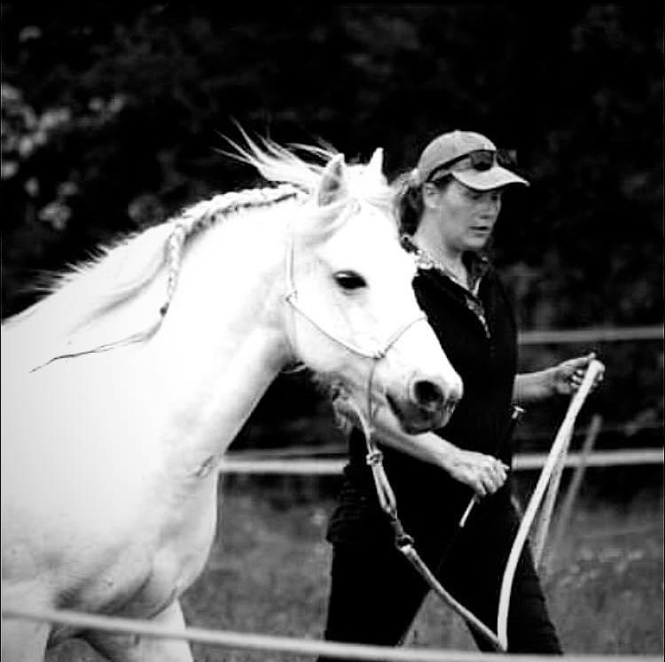 Complicité entre un poney et sa meneuse à Coud'Horse